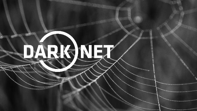 Ликвидированы две нелегальные торговые площадки в «темной сети»